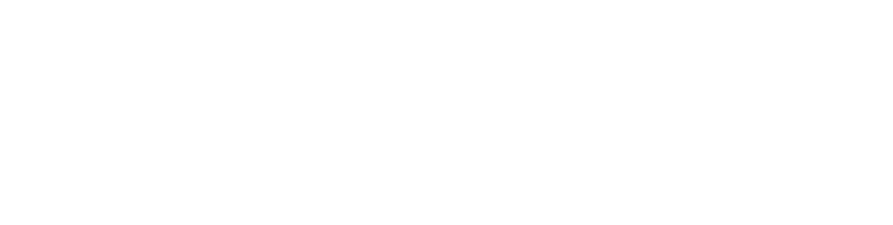 Garage Patrick Petit & Zn